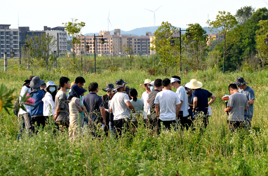 草地樣地現(xiàn)場_副本.jpg 草地樣地現(xiàn)場_副本.jpg