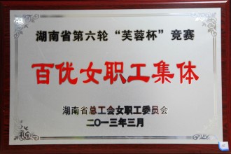 湖南省第六輪“芙蓉杯”競賽百優(yōu)女職工集體