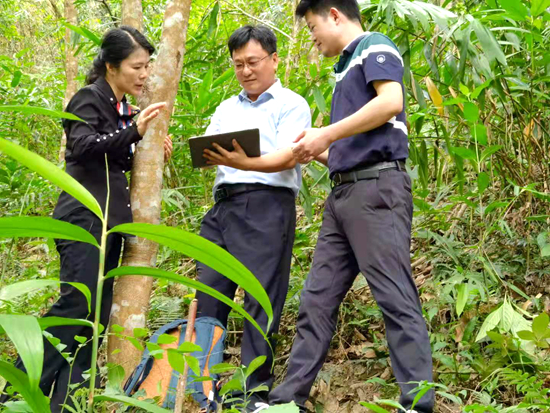 自然資源部調(diào)研督導(dǎo)三亞市森林資源二類調(diào)查工作