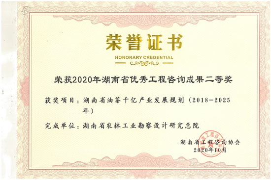 2020年湖南省優(yōu)秀工程咨詢二等獎