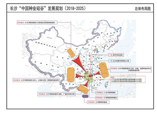 長沙·中國隆平種業(yè)硅谷發(fā)展規(guī)劃（2019—2025年）