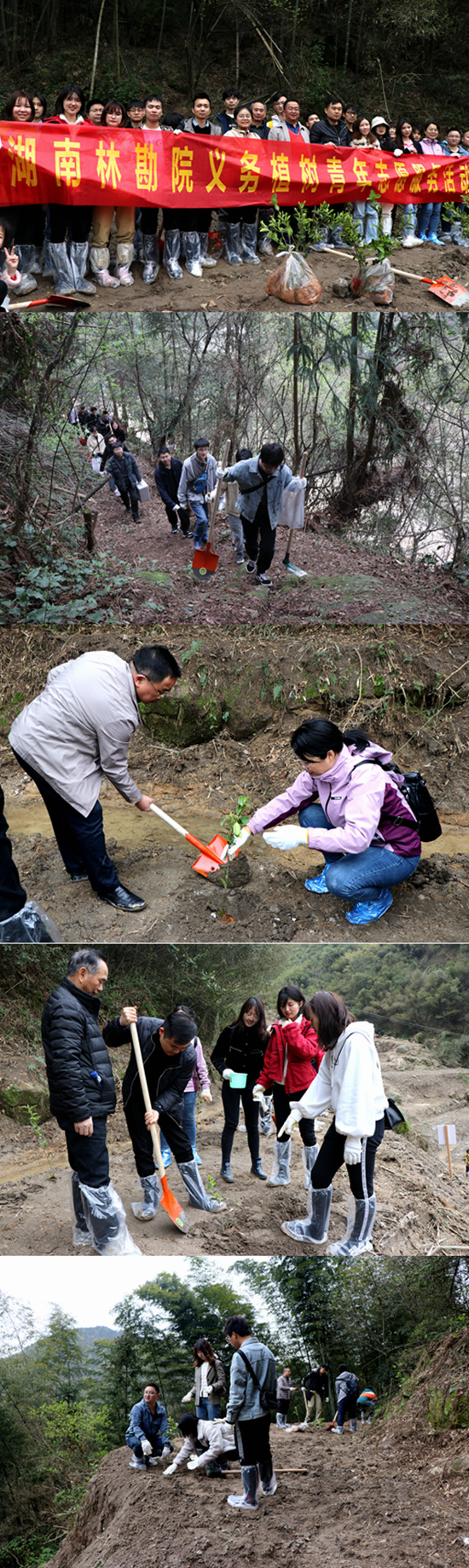 義務(wù)植樹拼接.jpg 義務(wù)植樹拼接.jpg